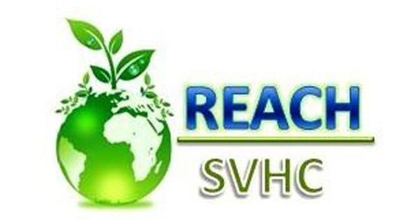 REACH測試辦理流程